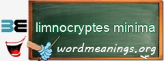 WordMeaning blackboard for limnocryptes minima